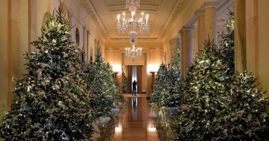 christmas decoration of the white house