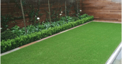 popularity of artificial grass