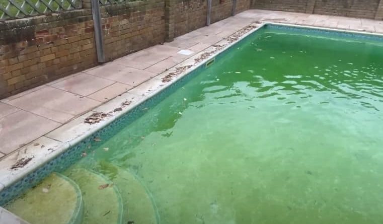 Remove Algae from Pool